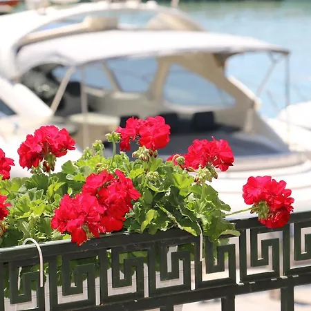 酒店 米斯特拉尔酒店